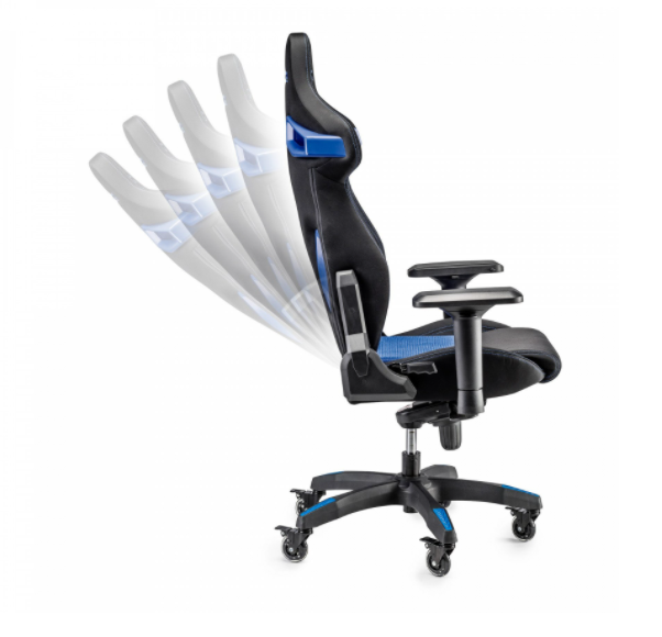 STINT cod. 00988